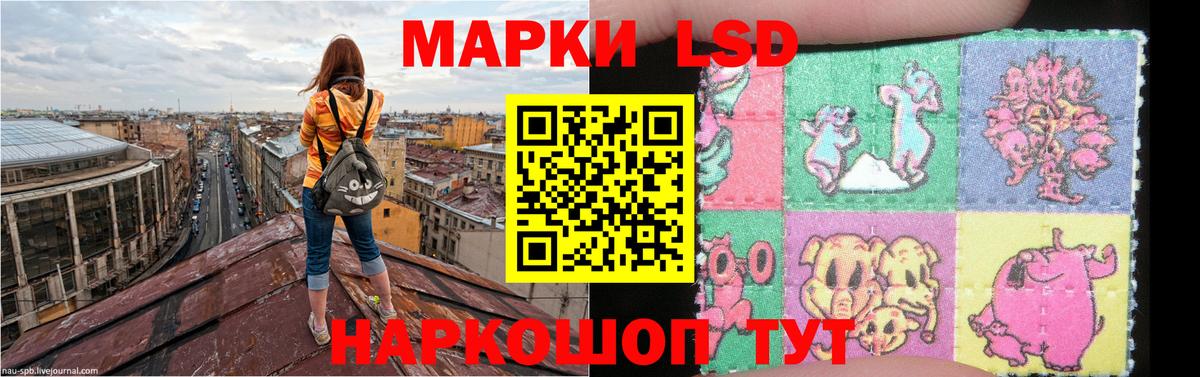 Шебекино  Лсд 25 экстази ecstasy  Вход с VPN 