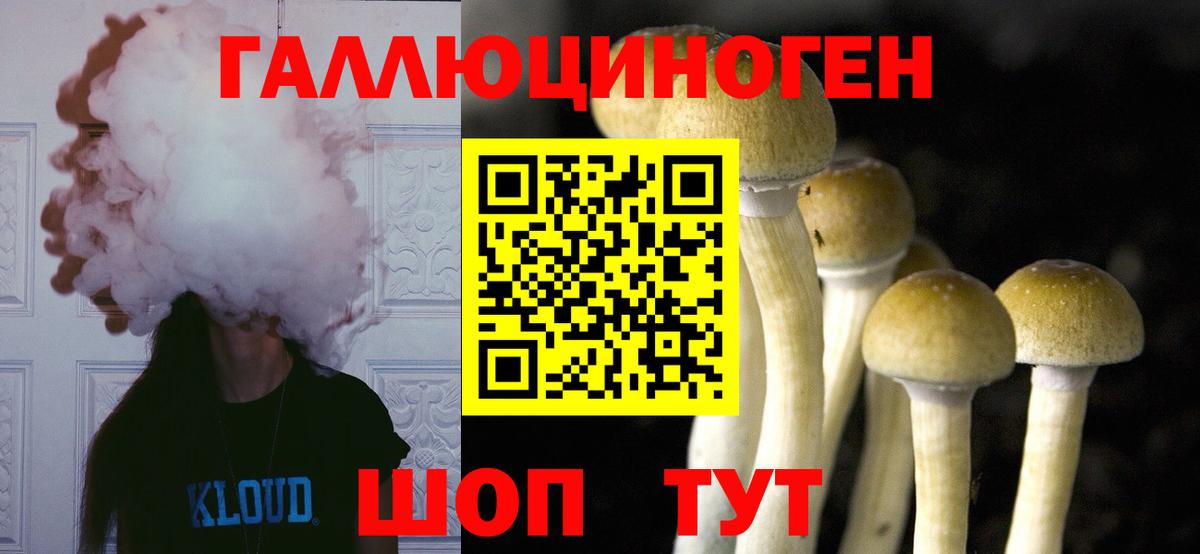 Галлюциногенные грибы Psilocybine cubensis  наркота  Шебекино  Вход с VPN 