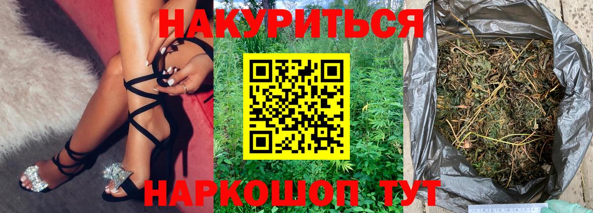 Конопля OG Kush Шебекино